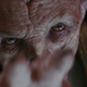 Imagen para el artículo titulado Todos los detalles y secretos que revela el BluRay de Star Wars: The Last Jedi